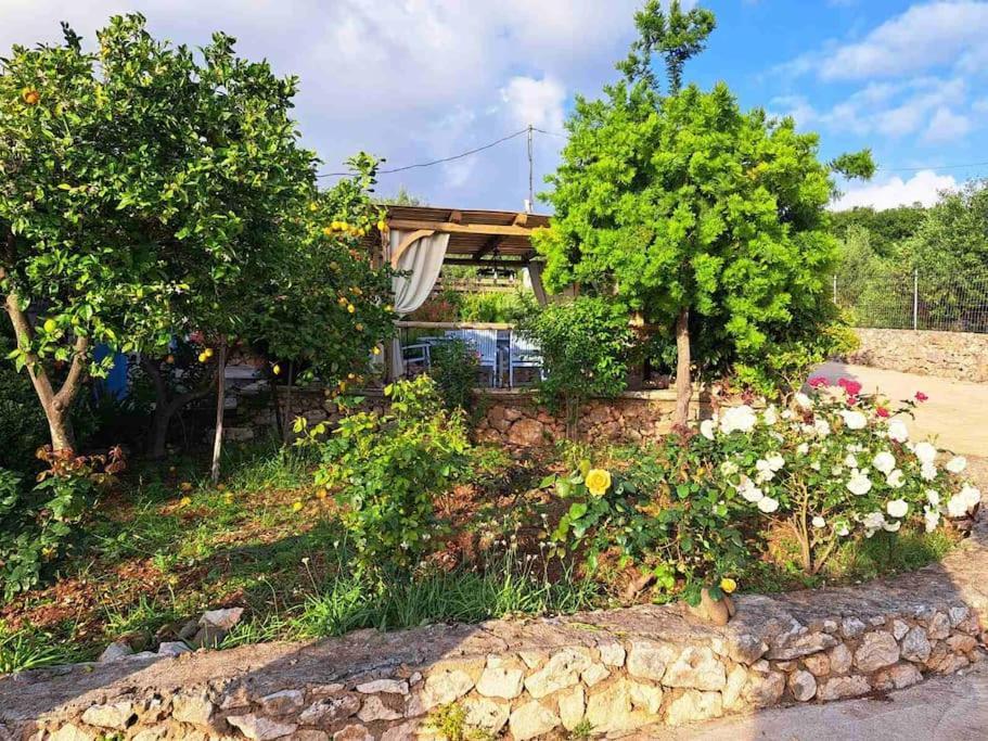 Fragosiko - Rustic Retreat In Kefalonia Argostoli  Exterior foto