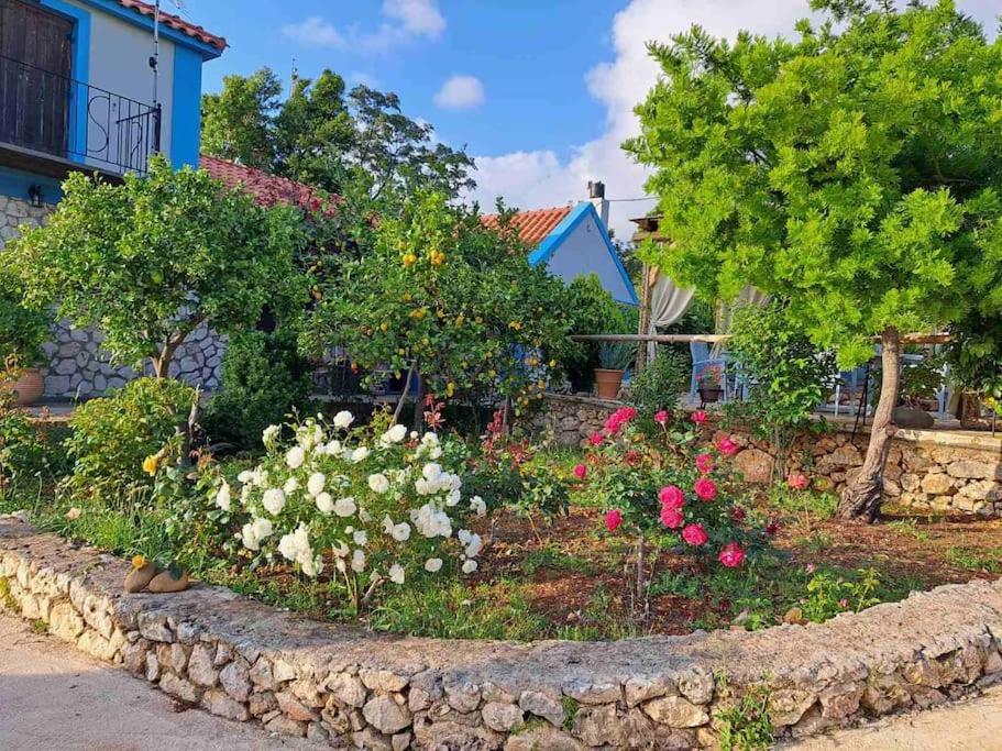 Fragosiko - Rustic Retreat In Kefalonia Argostoli  Exterior foto